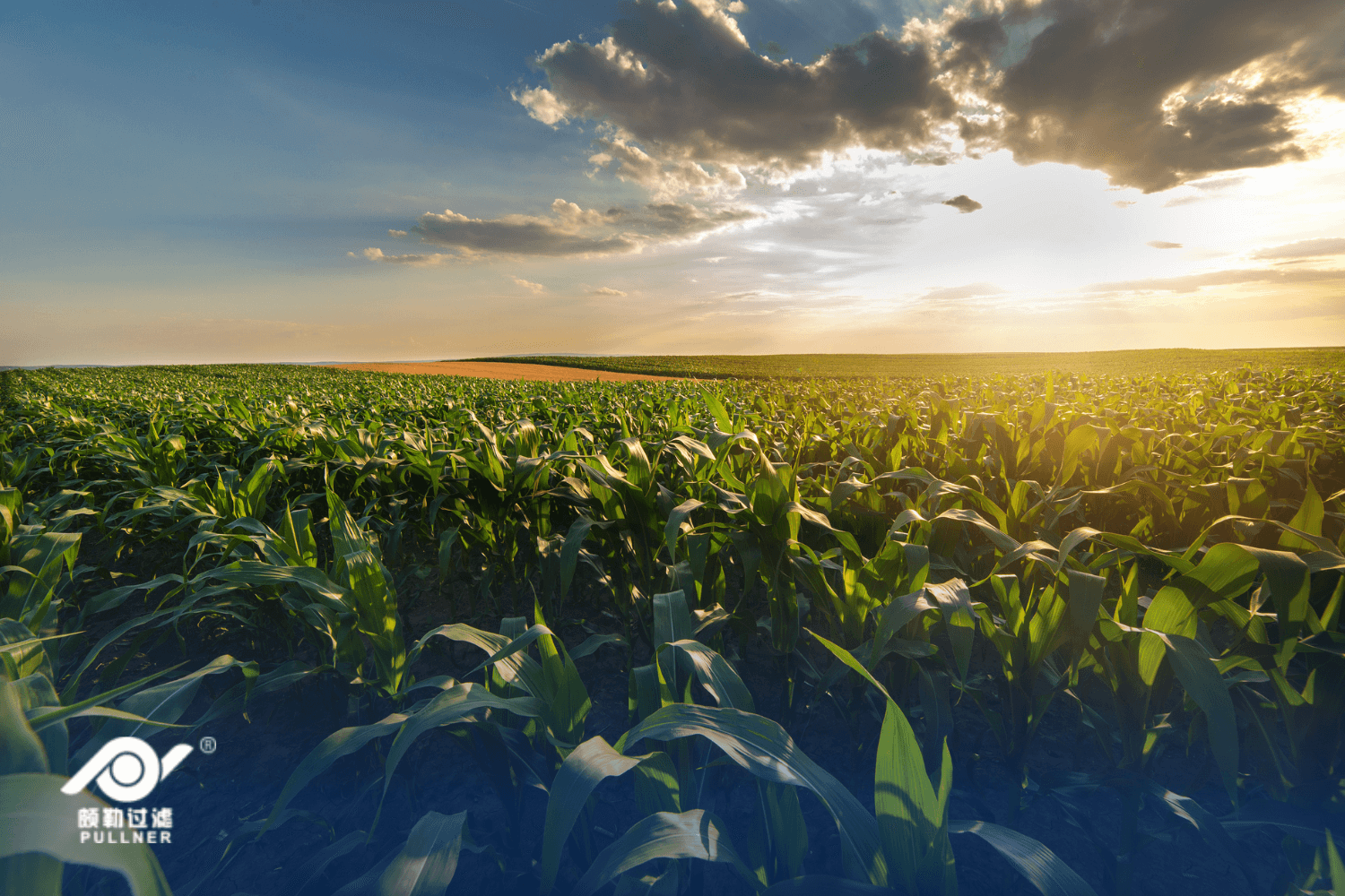 الزراعة وعمليات الري